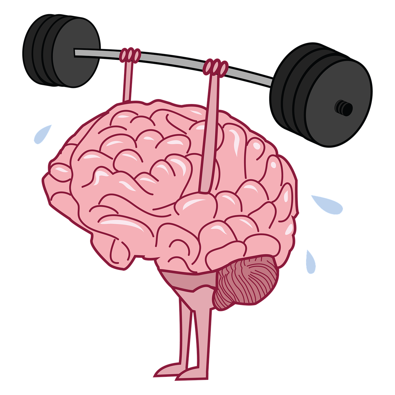 brain, exercise, training-5983810.jpg