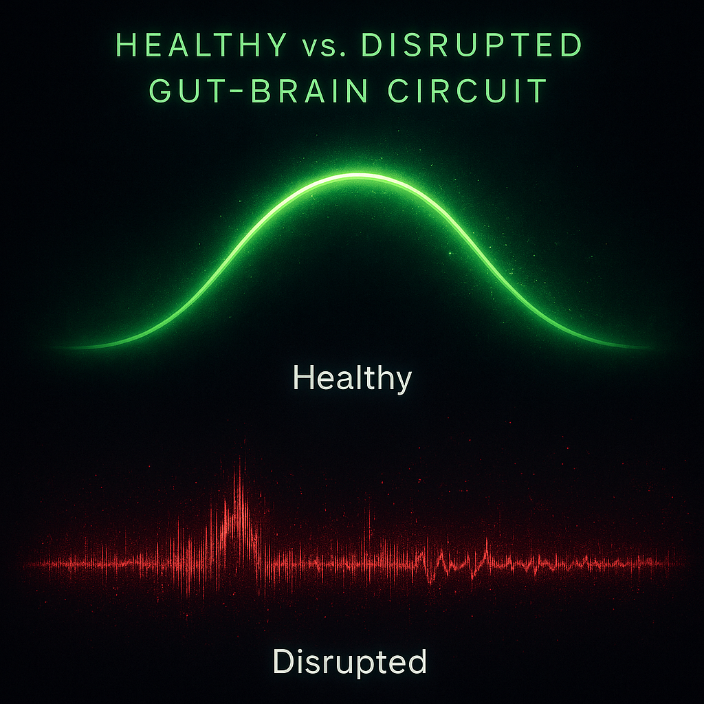 Comparison graph showing the Healthy vs. Disrupted Gut–Brain Circuit Curve — an acid-green energy arc representing balanced communication and a red static waveform showing disrupted signaling between the gut and brain.